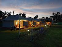 Jungle Buru Eco Camp